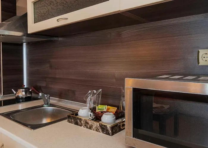 Vista виста 4* Sveti Vlas